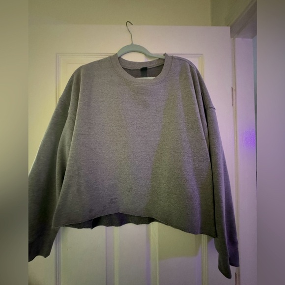 Women's Wild Fable Light Grey Crop Sweater - Picture 1 of 8